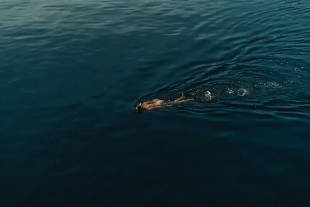 Vela Phinisi Boat Charter | Water Snorkeling Activity | Komodo Luxury